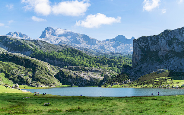 Richi McWallace, Shutterstock