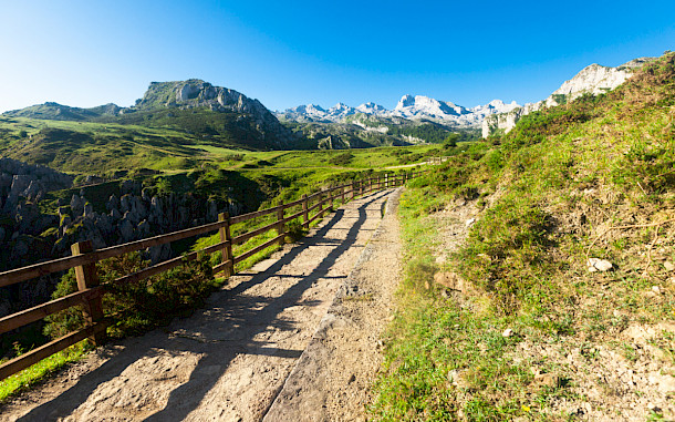 Caftor, Shutterstock