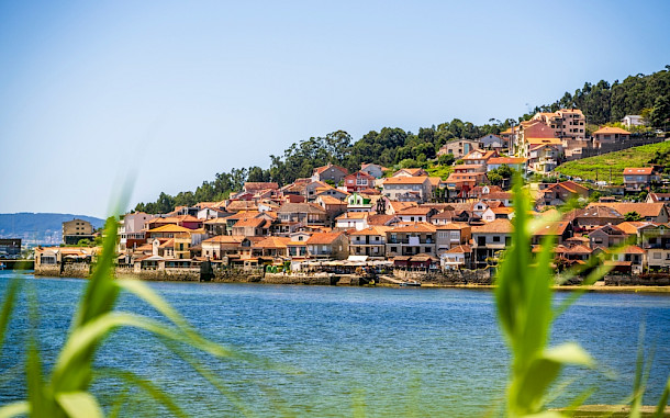 Sopotnicki / Shutterstock