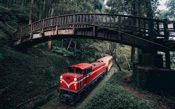 bento.memories/Shutterstock