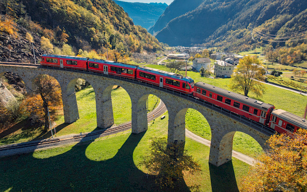 Denis Belitsky/Shutterstock