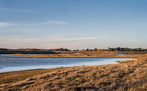 Veronique Stone / Shutterstock