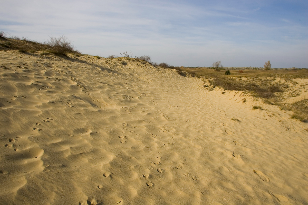 Egy darab „sivatag” Magyarországon, ahol homokdűnék között túrázhatunk