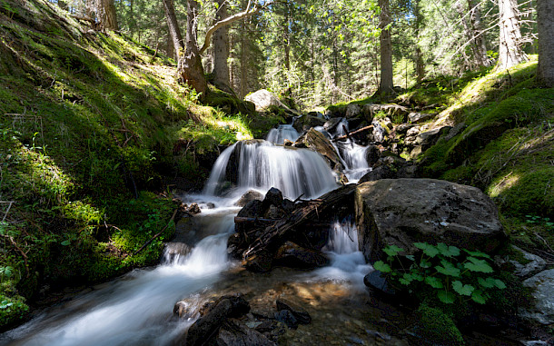 Davide Marzotto / Shutterstock