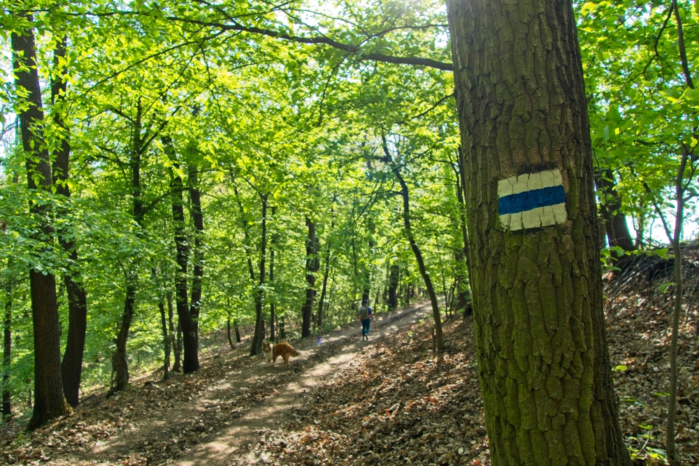 A Kéktúra legkeményebb szakaszai: 4 útvonal gyakorlott túrázóknak