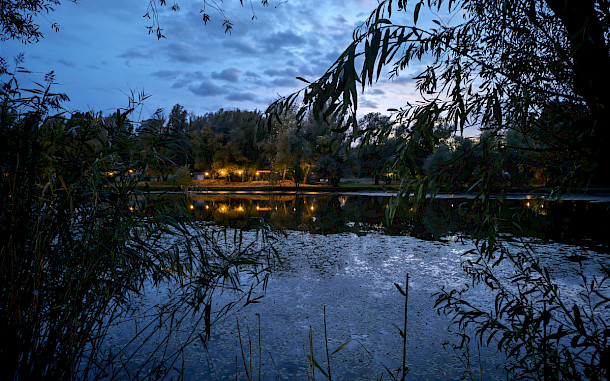 Dusanka Ljubojevic, Shutterstock