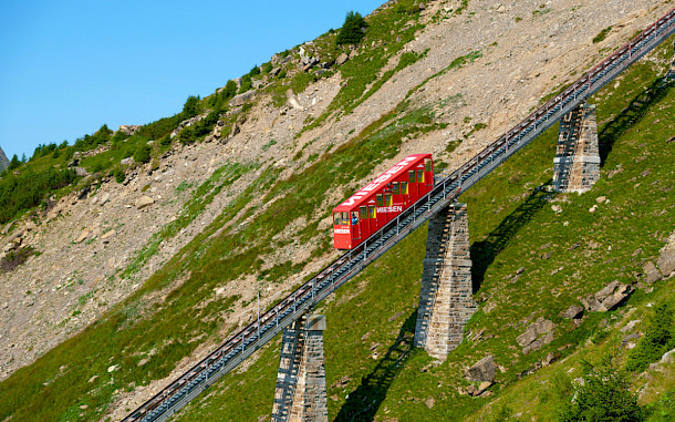 BrunoK1, Shutterstock