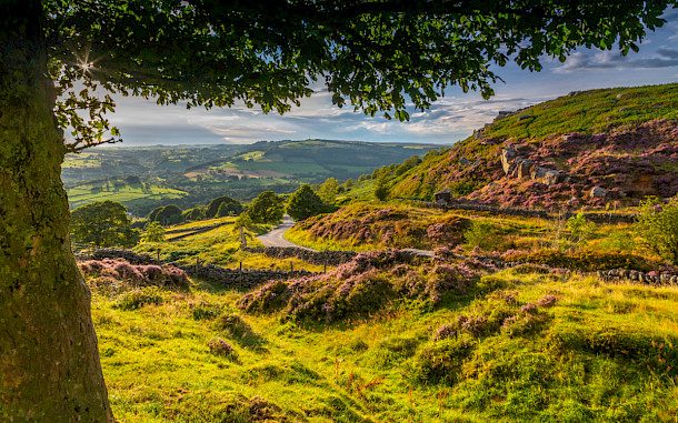 Robert Harding Video, Shutterstock