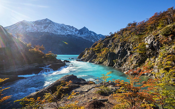 Galyna Andrushko, Shutterstock