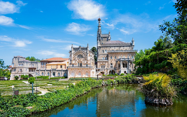 alicina / Shutterstock