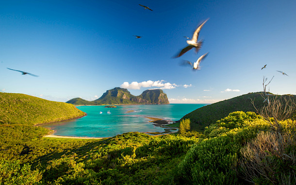 Melissaberry, Shutterstock