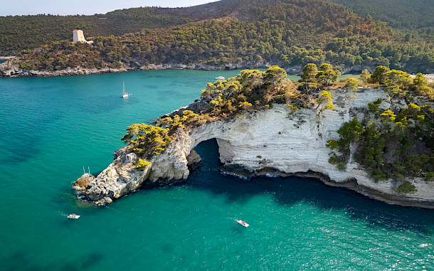 VOJTa Herout, Shutterstock