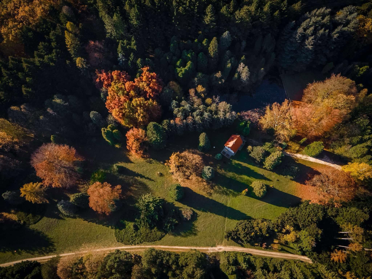 5 gyönyörű magyar arborétum, ahová érdemes elindulni egy őszi hétvégén