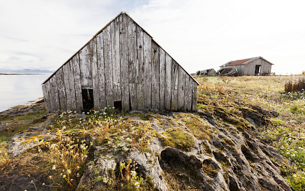 Ingrid Maasik, Shutterstock