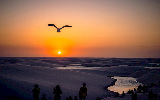 RobertoSilva57 / Shutterstock