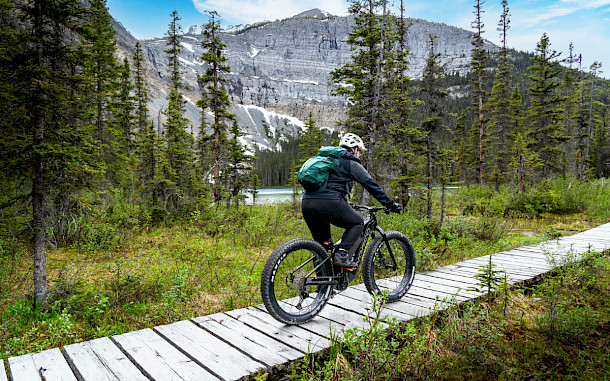 Ramon Cliff, Shutterstock