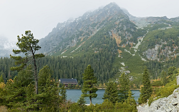 Rostasedlacek / Shutterstock