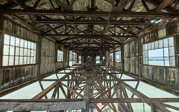 Random photos 1989, Wikimedia Commons