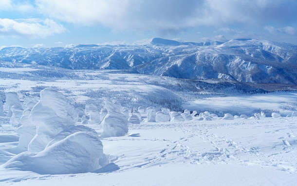 Harumachi's photograph / Shutterstock