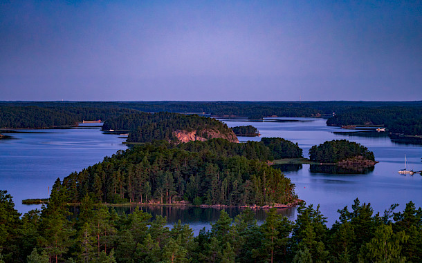 fudzii, Shutterstock