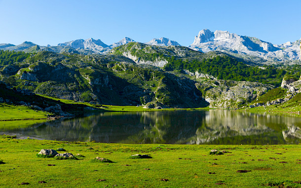 BearFotos, Shutterstock