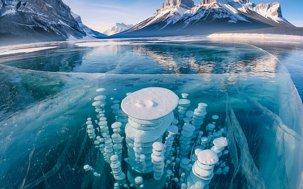 rahibsaeed, Shutterstock