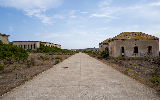 MARTIN Florent, Shutterstock