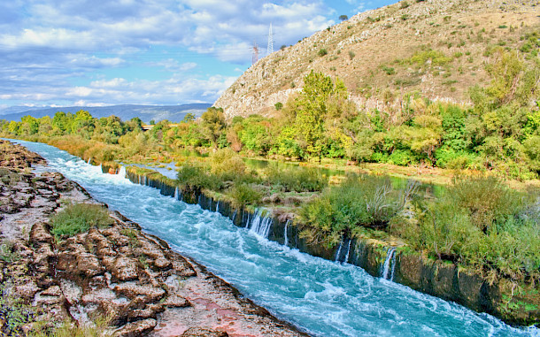 Tunatura, Shutterstock